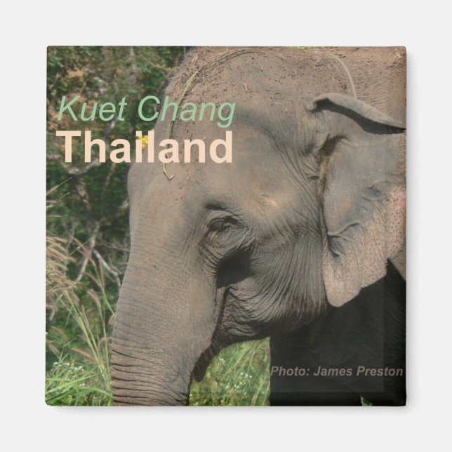 Kuet Chang Thailand Elephant Fridge Magnets (Front)