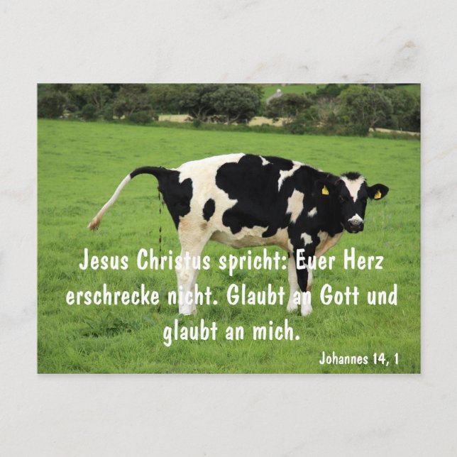 Kuh Postcard (Front)