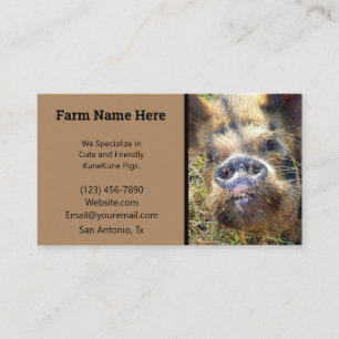 KuneKune Pig Breeder Business Card