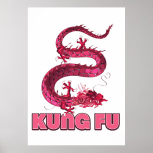 kung fu poster