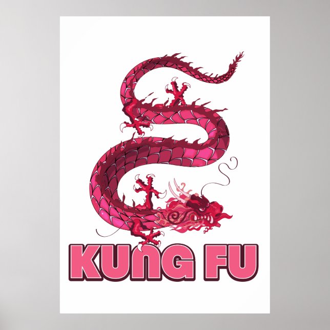 kung fu poster (Front)