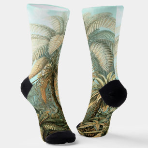 Kunstformen der Natur, Filicinae - Ernst Haeckel Socks