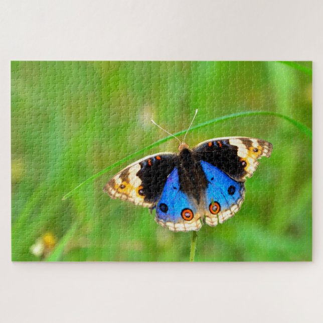 Kupu Kupu Butterfly Jigsaw Puzzle (Horizontal)