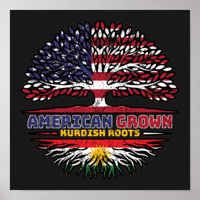 Kurdistan Kurdish US American USA United States Tr Poster (Front)