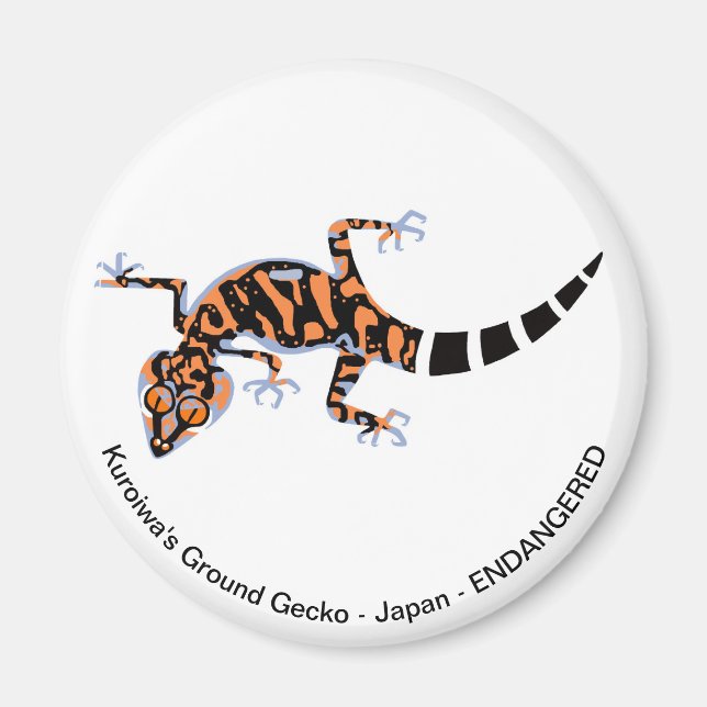 Kuroiwa's Ground GECKO - Endangered - Reptile -  Magnet (Front)
