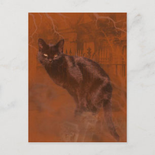 Kuroneko Kami Postcard