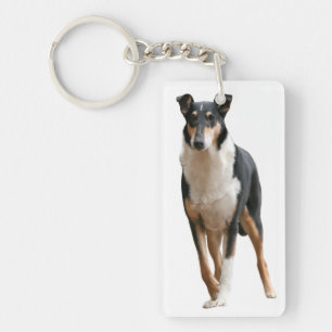 Kurzhaar Collie Key Ring