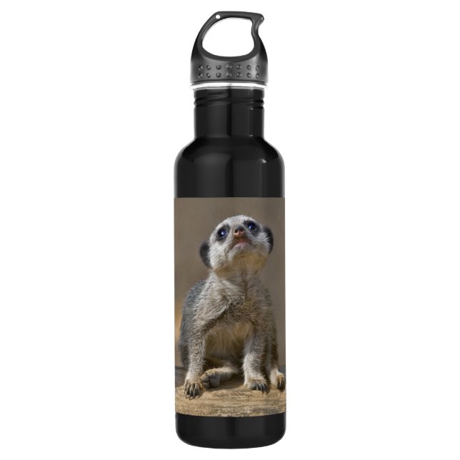 Kute Kat 710 Ml Water Bottle (Front)