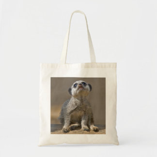 Kute Kat Bag
