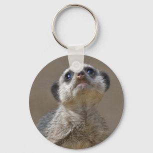 Kute Kat Keyring