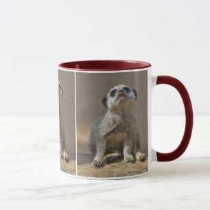 Kute Kat Mug