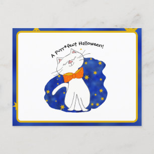 Kute Kitty Cat Starry Night Halloween  Holiday Postcard