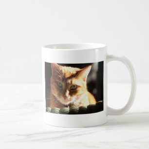 Kute Kitty! Coffee Mug