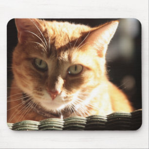 Kute Kitty! Mouse Mat