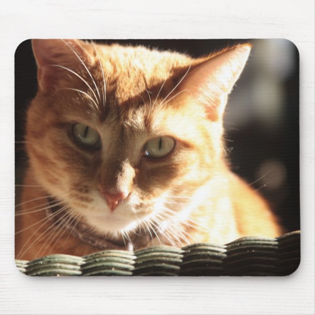 Kute Kitty! Mouse Mat (Front)