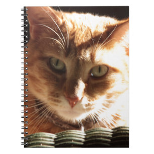 Kute Kitty! Notebook