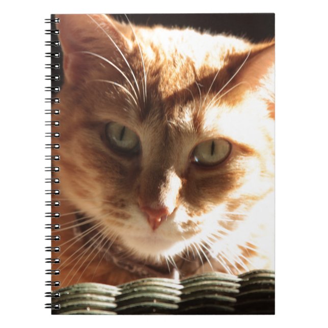 Kute Kitty! Notebook (Front)