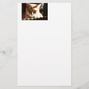 Kute Kitty! Stationery