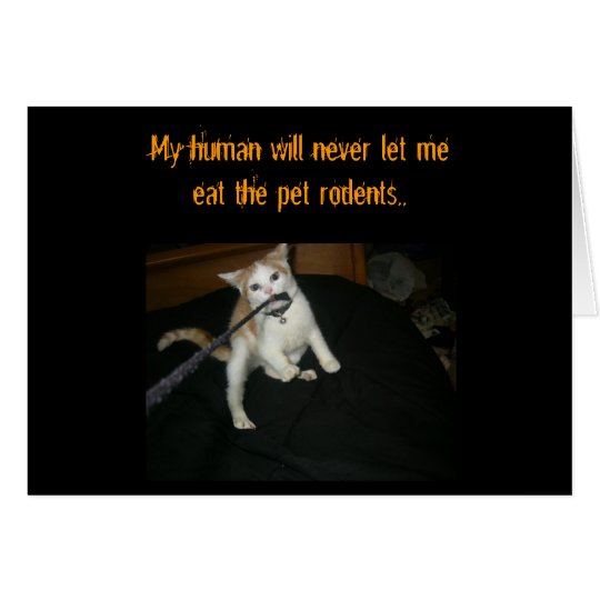KuteKittee Card