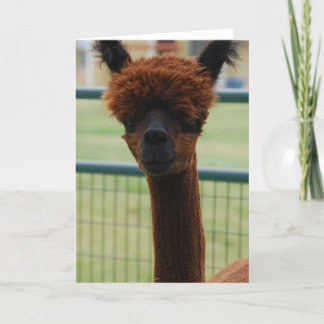 Kuzco Alpaca Greeting Card