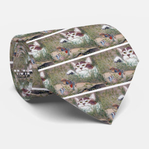 Kyosai Kawanabe, monster cat Tie