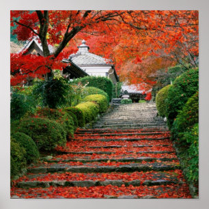 Kyoto, Autumn Leaves Poster