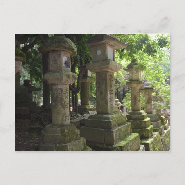 Kyoto Japan Postcard (Front)