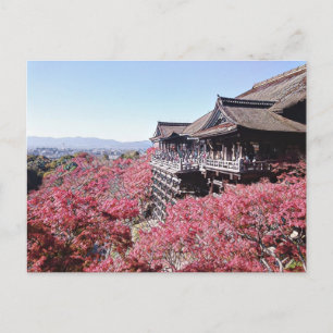 Kyoto Postcard