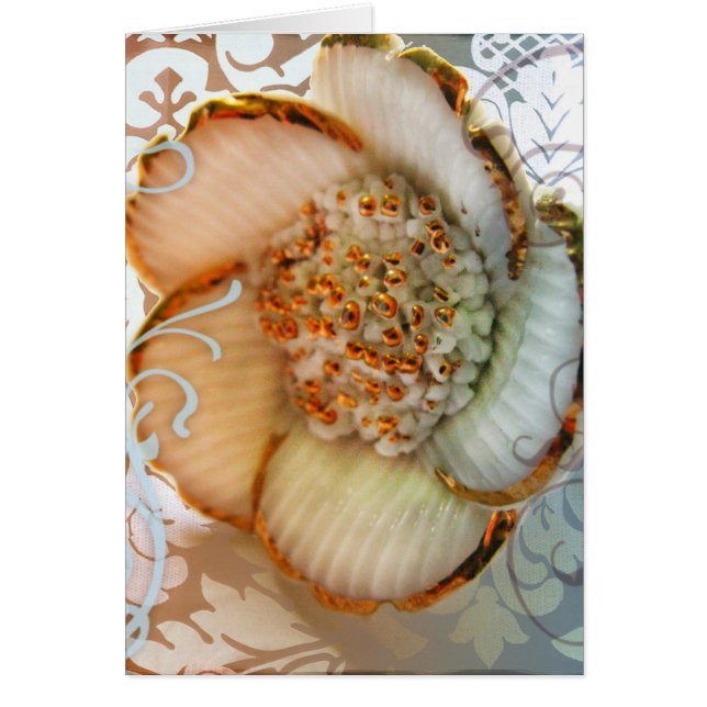 Kyoto Sakura (Front)