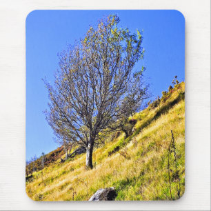 L0NE TREE MOUSE MAT