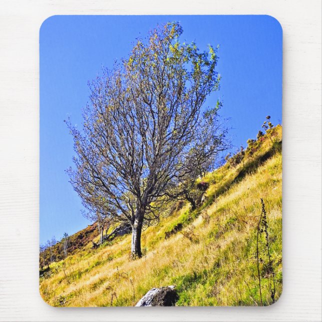 L0NE TREE MOUSE MAT (Front)