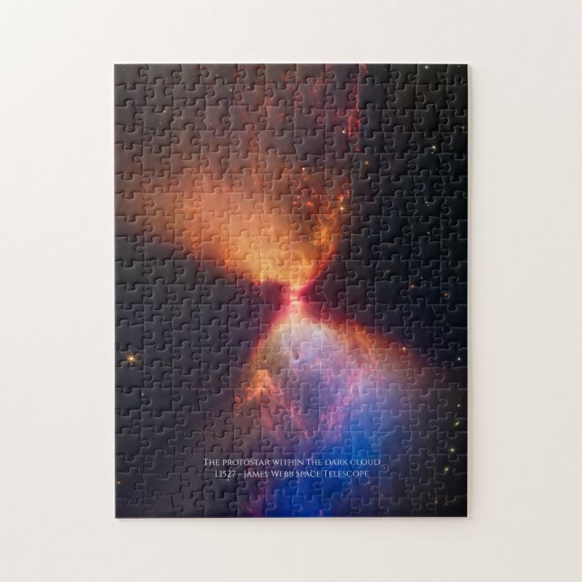L1527 and Protostar - James Webb Space Telescope Jigsaw Puzzle (Vertical)