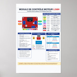 L298N Motor Driver Pinout Poster A3