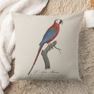 L' Ara Macao / Red and green Macaw  Cushion