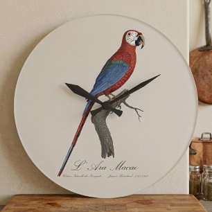 L' Ara Macao / Red and green Macaw  Large Clock