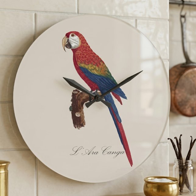 L' Ara Macao / Scarlet Macaw  Large Clock (Scarlet Macaw or Red-Breasted Macaw, Ara macao. Large Clock )