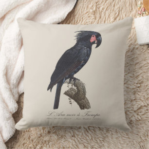 L' Ara Noir a Trompe / Palm Cockatoo  Cushion