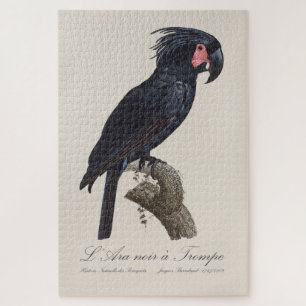 L' Ara Noir a Trompe / Palm Cockatoo  Jigsaw Puzzle