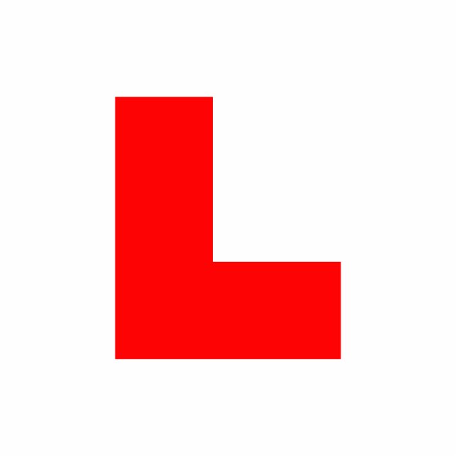 L-Plate Learner Driver / Bachelorette Hen Night Standing Photo Sculpture (Front)