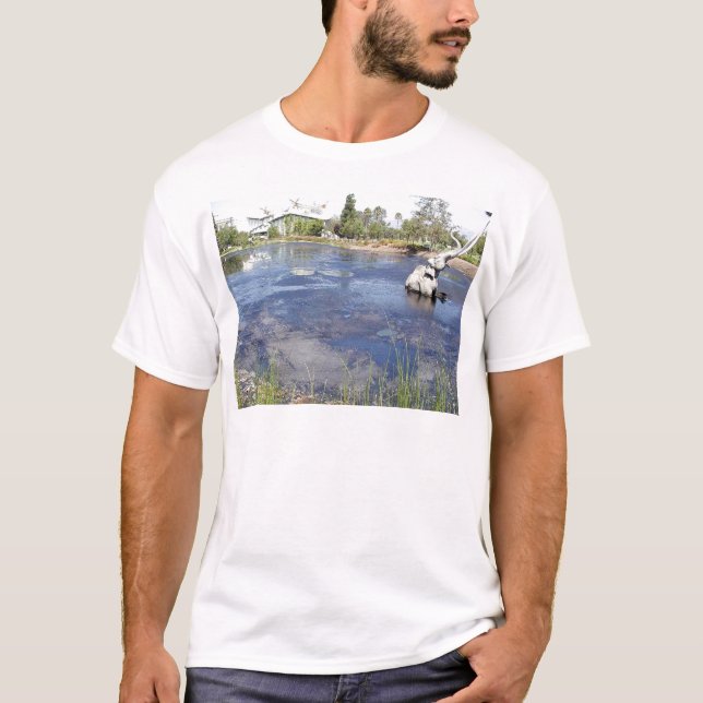 La Brea Tarpits Ponds Museums T-Shirt (Front)