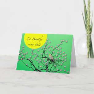 Lá Breithe sona duit Irish Birthday with Robin Card