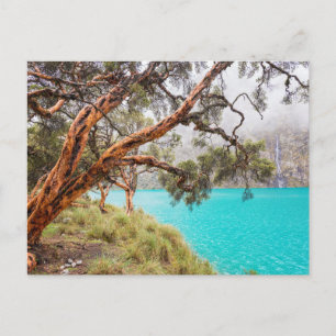 La bruma y el lago, Huaraz, Perú. Postcard
