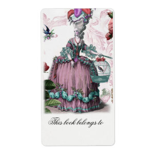 la cage aux oiseaux (The Bird cage)