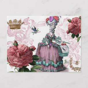 la cage aux oiseaux (The Birdcage) Postcard