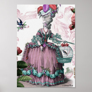 la cage aux oiseaux (The Birdcage) Poster