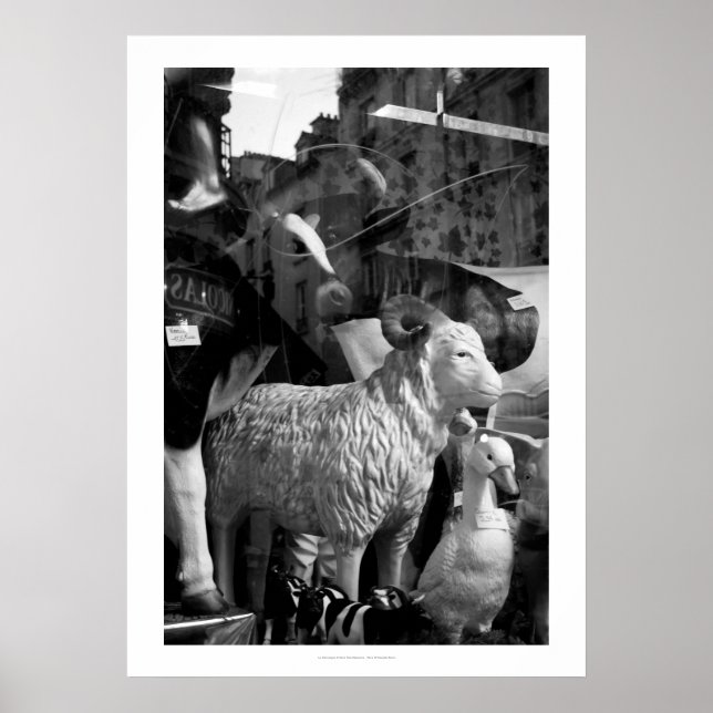 La Campagne à Paris rue Daguerre Sheep poster (Front)