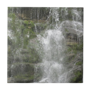 La Chute Waterfall in Forillon National Park Tile