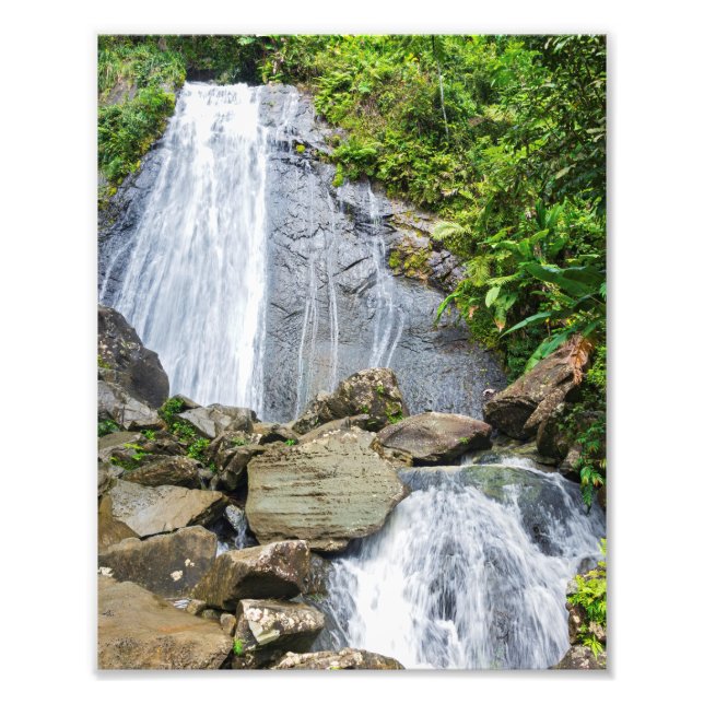 La coca falls of el yunque national forest photo print (Front)