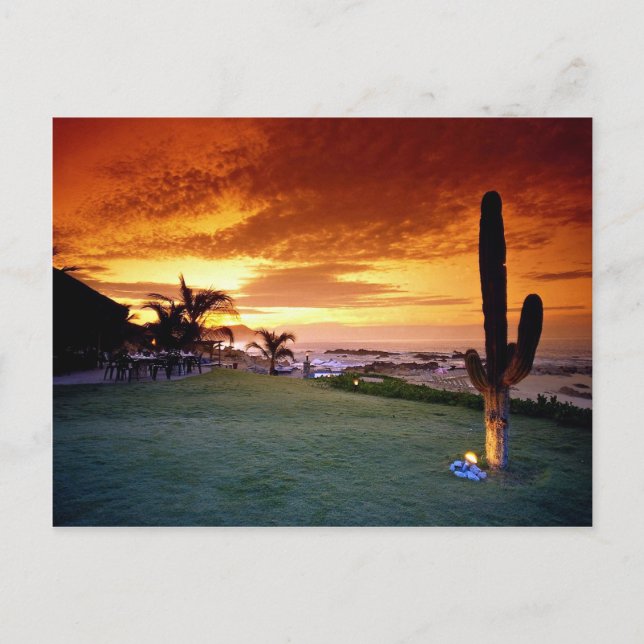 La Concha restaurant, Baja, Mexico Postcard (Front)