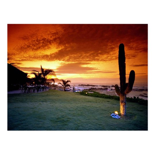 La Concha restaurant, Baja, Mexico Postcard